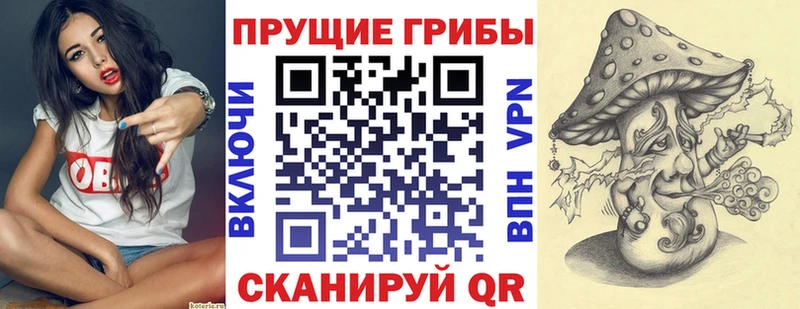 площадка состав  МЕГА вход  Пудож  Галлюциногенные грибы ЛСД 